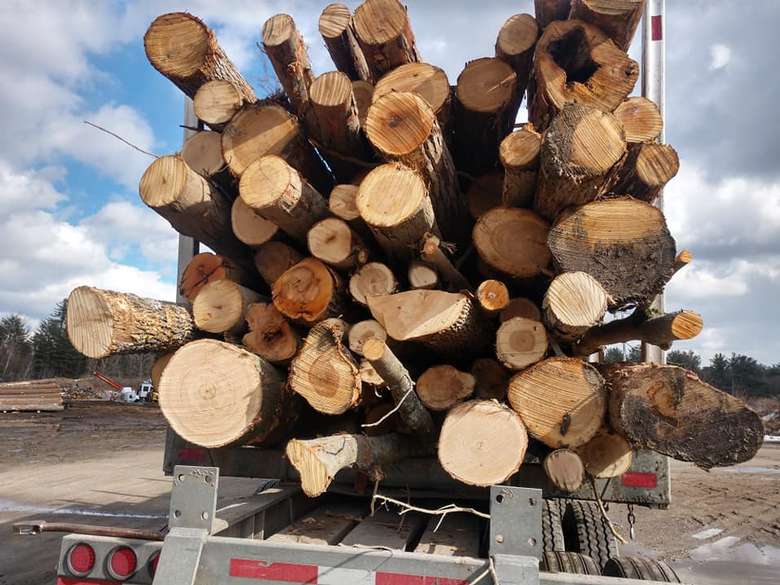 logs on a truck
