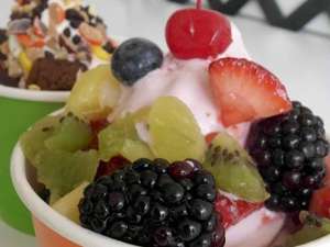 cup of frozen yogurt with fresh fruit in it