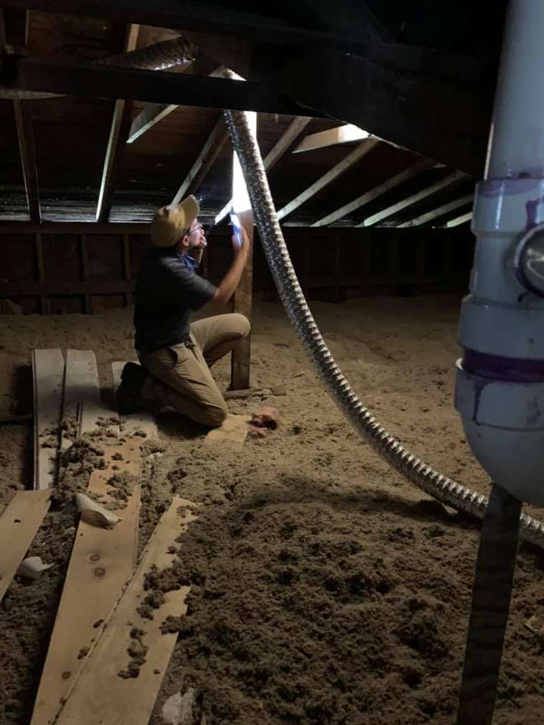 home inspector checking wooden beams under a house