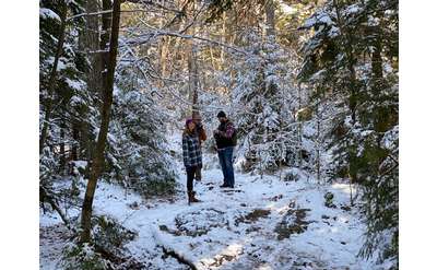 three hikers standing on snowy ground in the woods