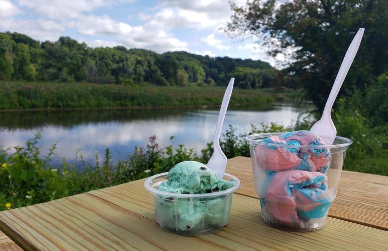 two cups of ice cream on a picnic table