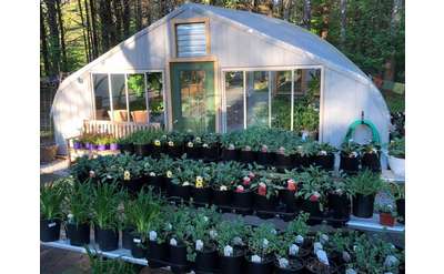 greenhouse and outdoor plants on display