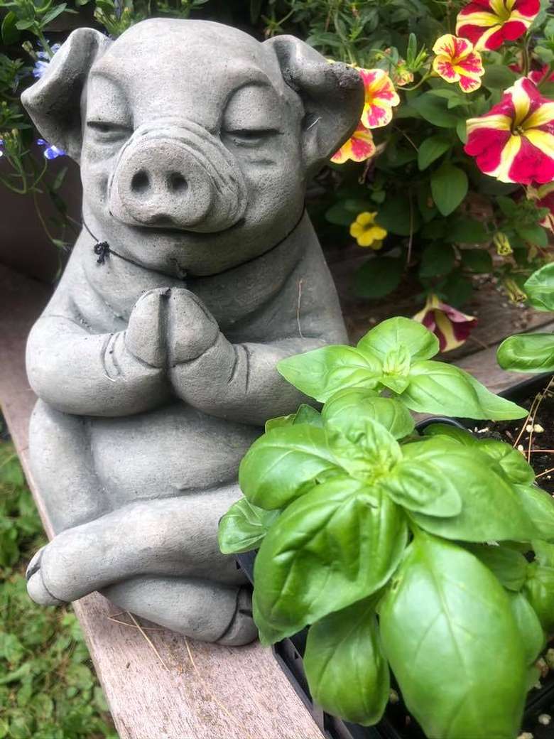 pig statue and plant