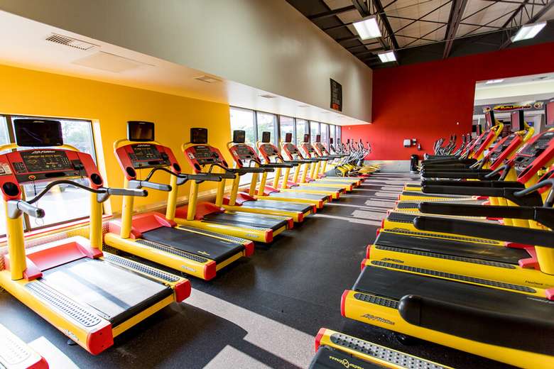 treadmills in a gym room