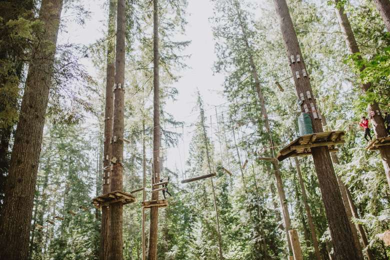 view of an aerial treetop course