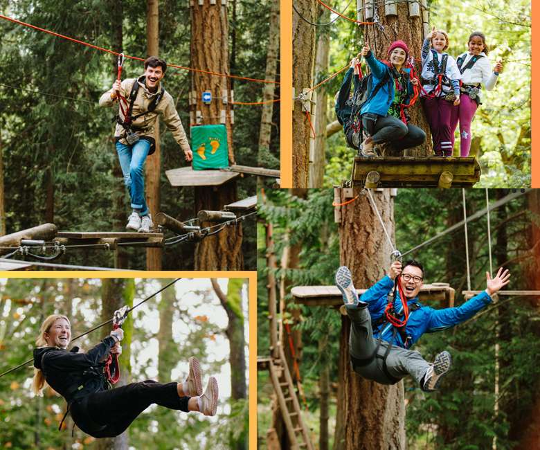 photo collage of people ziplining and exploring a treetop course