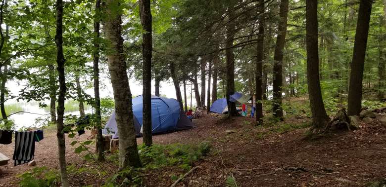 campsite in between trees