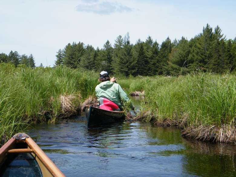 people canoeing through a shallow area