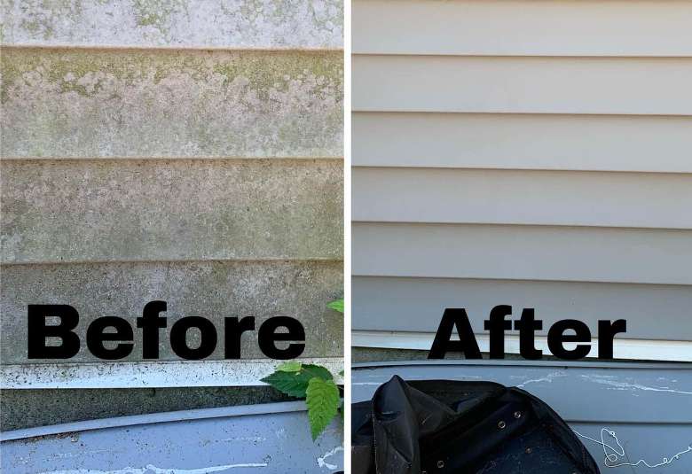before and after image of soft washing job