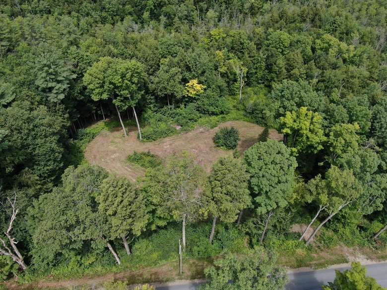 aerial view of empty plot of land surrounded by trees