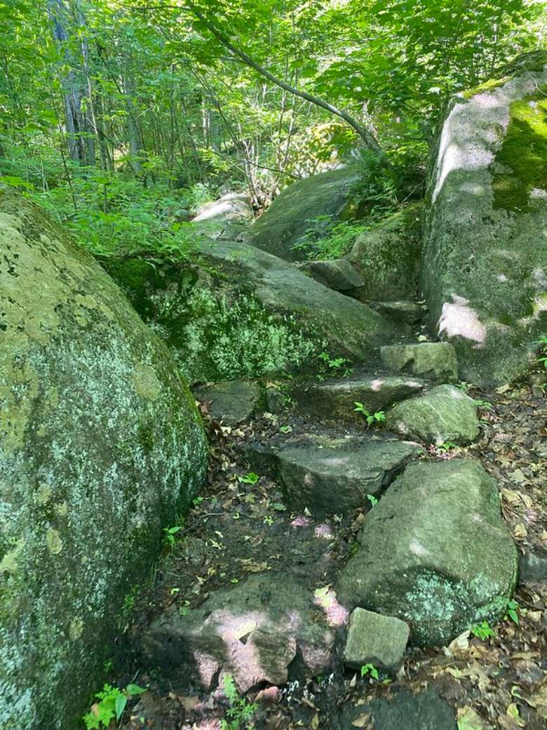 stones in the woods