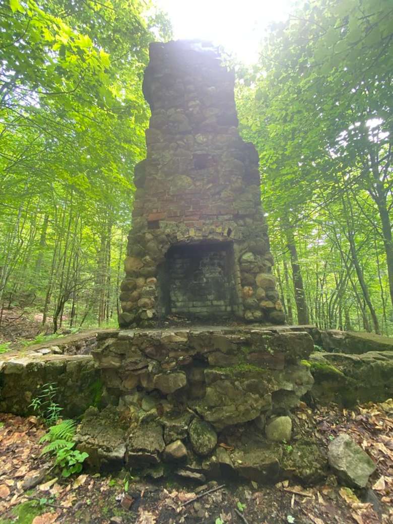 a stone chimney in the woods
