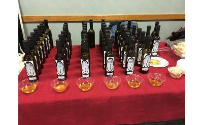 olive oils and samples
