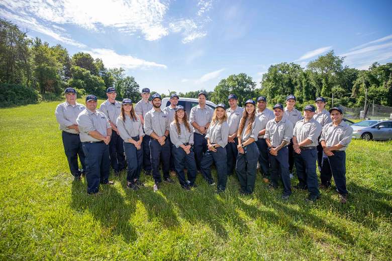 Fox Pest Control Pest Control Service In Albany NY Fox Pest Control Pest Control Service In Albany NY