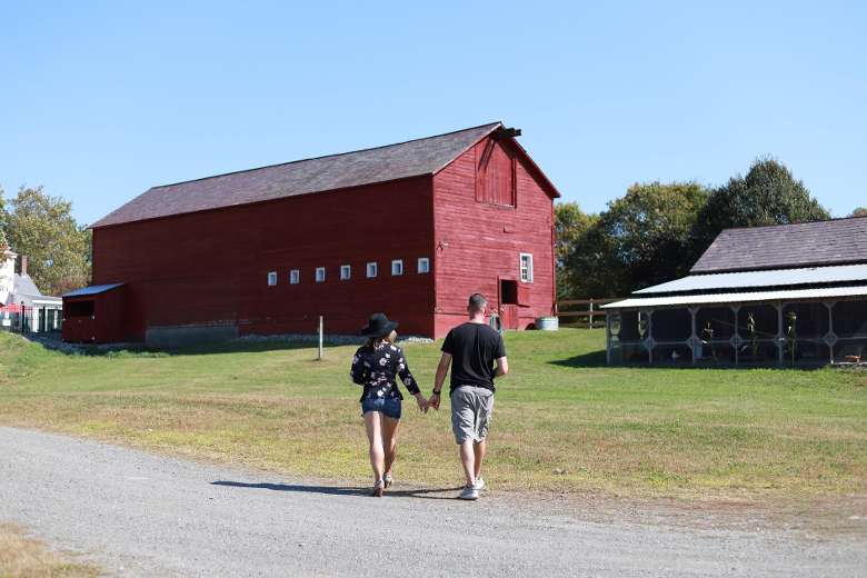 couple walks hand in hand towards farmhouse