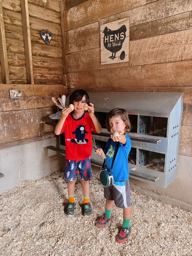 two boys holding up eggs in a farm building