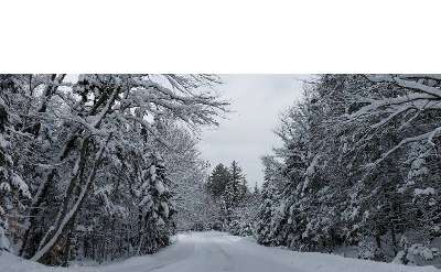 winter trail