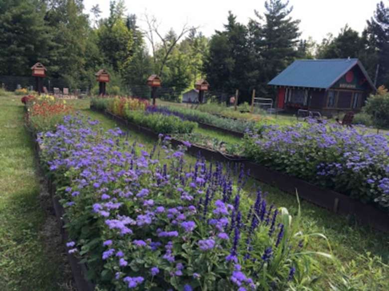 flower garden with a cabin nearby