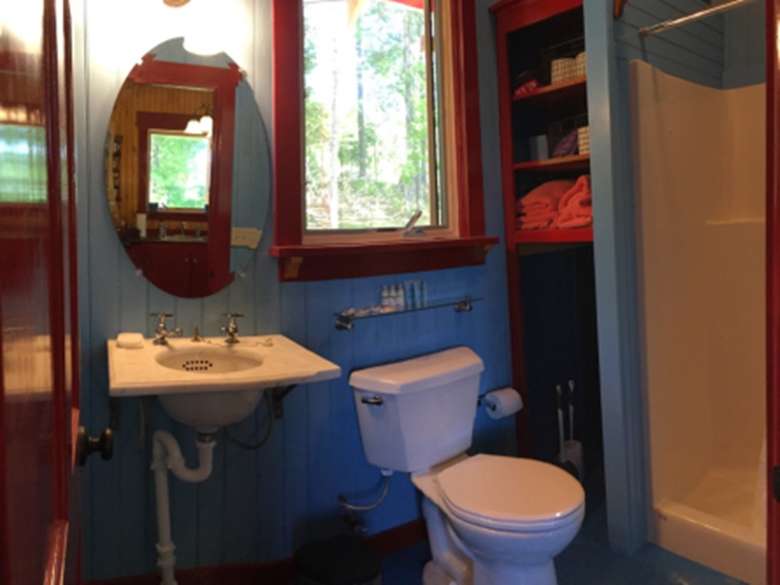 bathroom with a sink, toilet, and shower