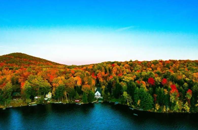 aerial view of trees with fall colors and a lake shoreline with houses