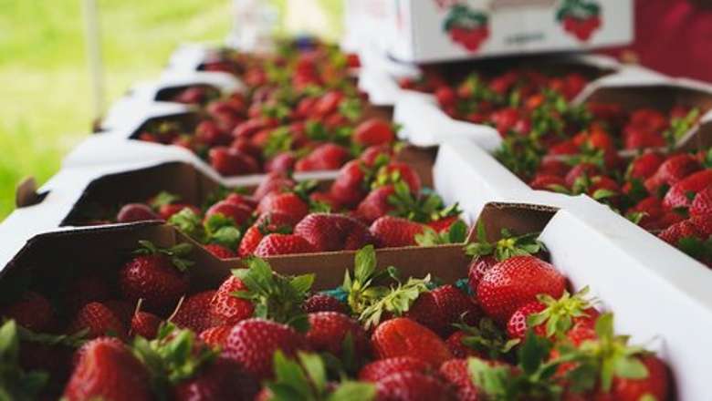 strawberries in boxes