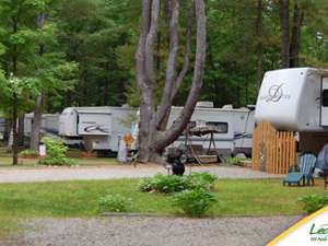 a row of RVs situated in separate campsites