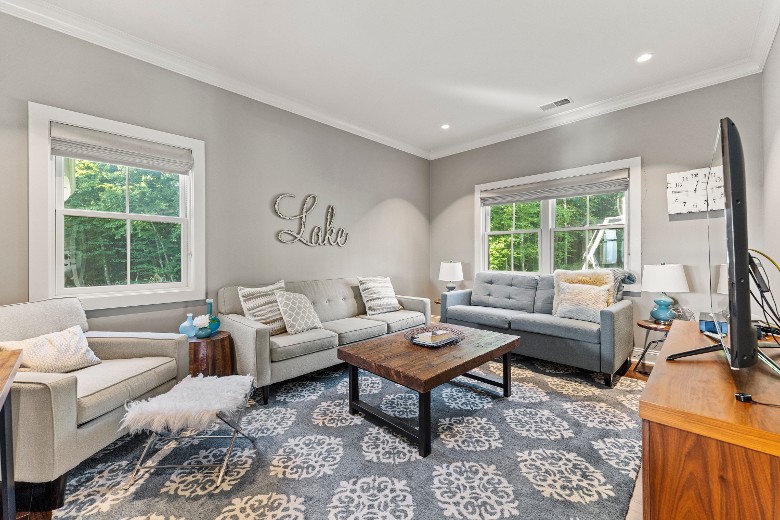 Living room with pull out sofa
