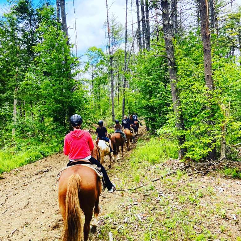 line of people on horses walking through a forest
