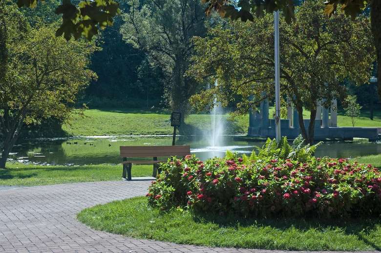 a park with a bench and water