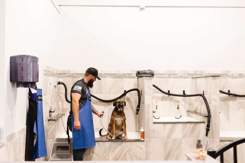 man washing a dog in a dog wash station