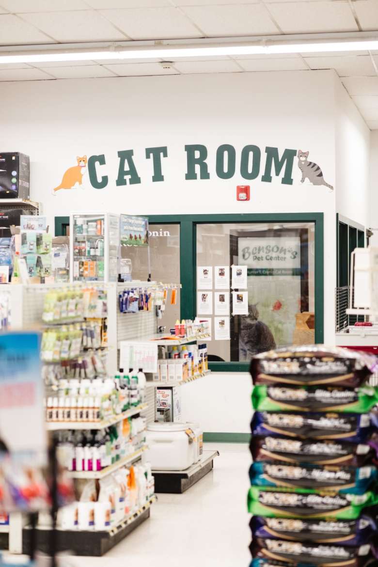 a cat room in a pet store