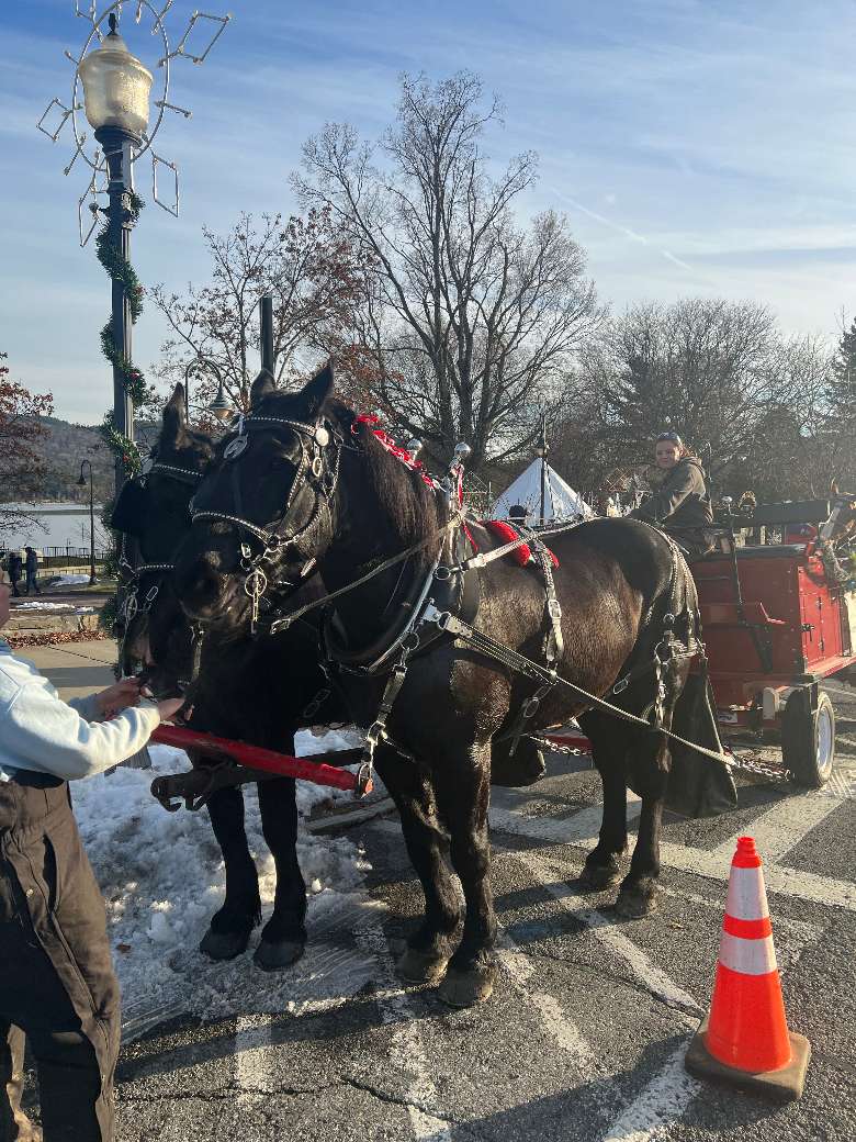 two horses with a carriage behind them