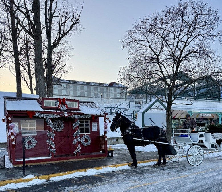 horse and white carriage