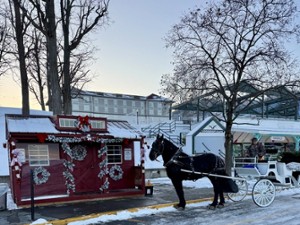 horse and white carriage