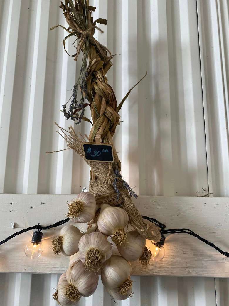 garlic displayed for sale for $30