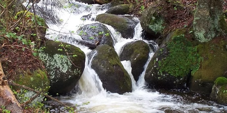 brook waterfall