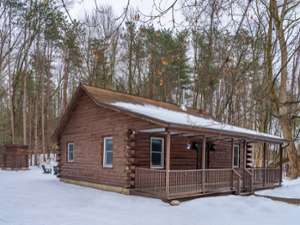 Little Pines Upstate: Saratoga Springs Cabin