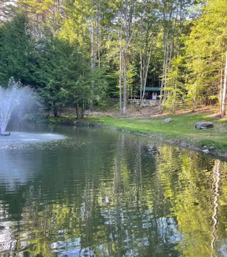 pond with fountain the middle