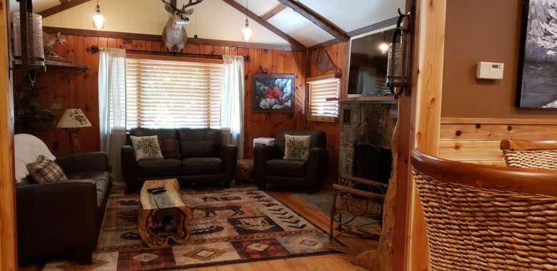 living room with two couches and television