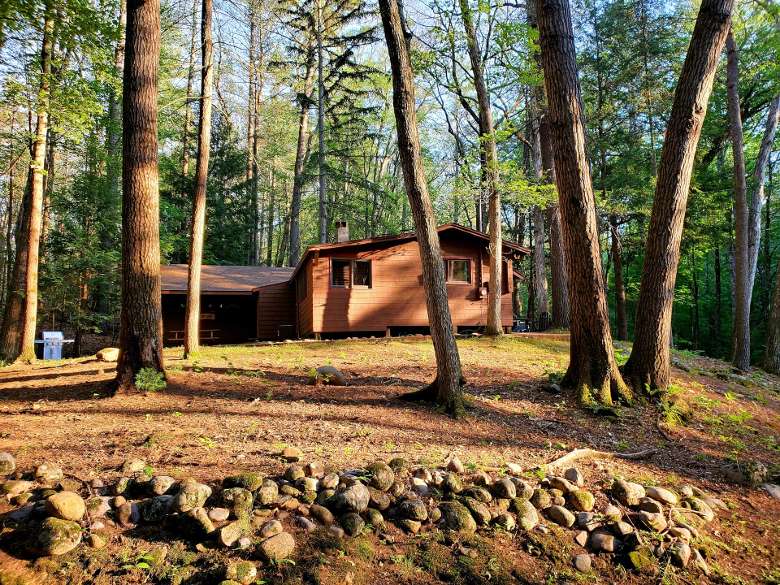 brown cabin in the woods