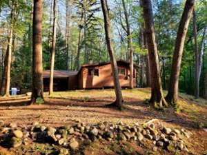 brown cabin in the woods