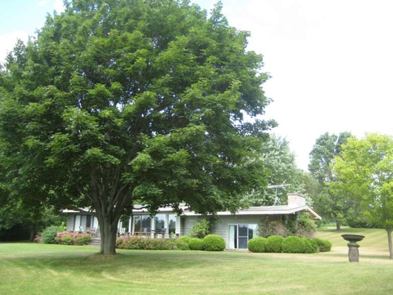 Lakeside cottage