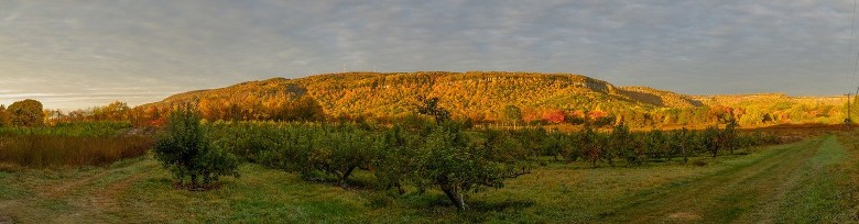 open view of a field