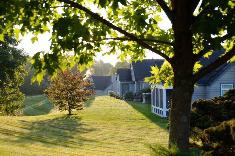 row of single story homes early in the morning with a large tree in the foreground and a well-manicured lawn on the left side