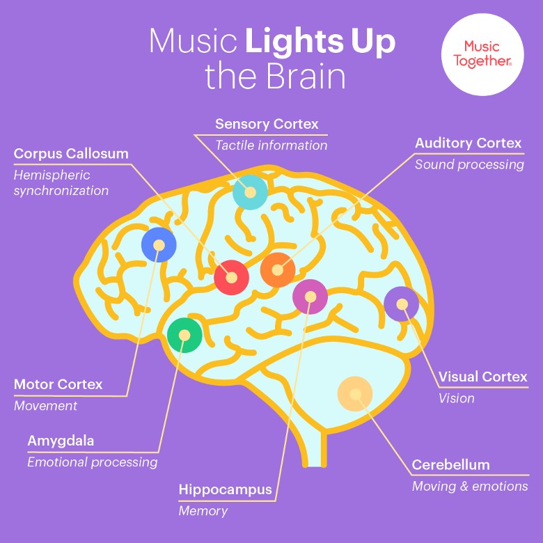 music lights up the brain graphic