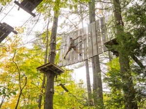 Adirondack Extreme's Climbing Wall Aerial Adventure Obstacle