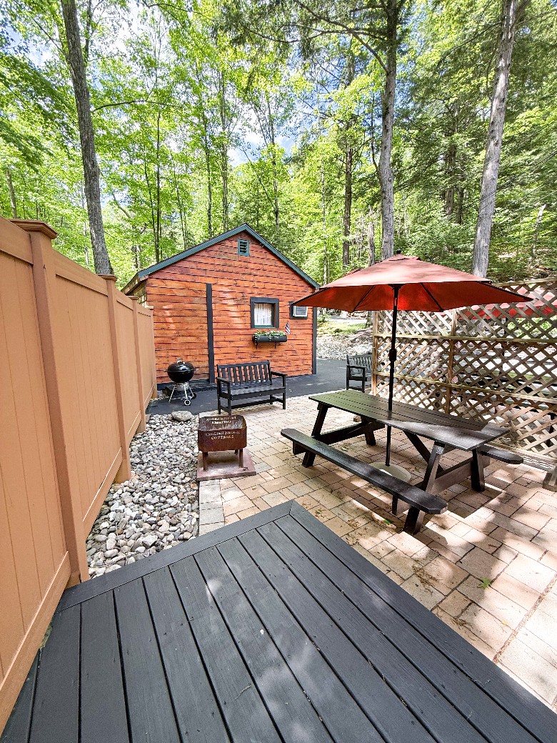 Back patio area with BBQ grill, picnic table, bench and firepit