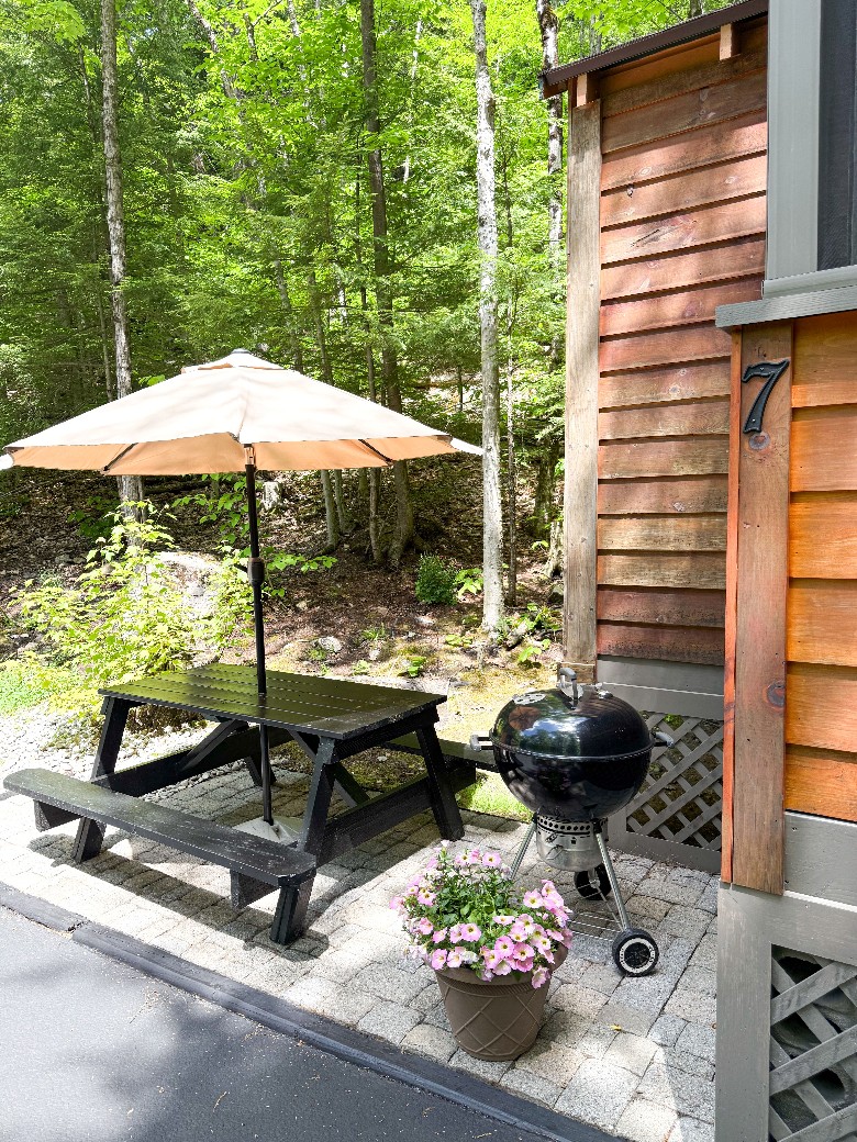 Patio area with picnic table, BBQ grill, and a firepit