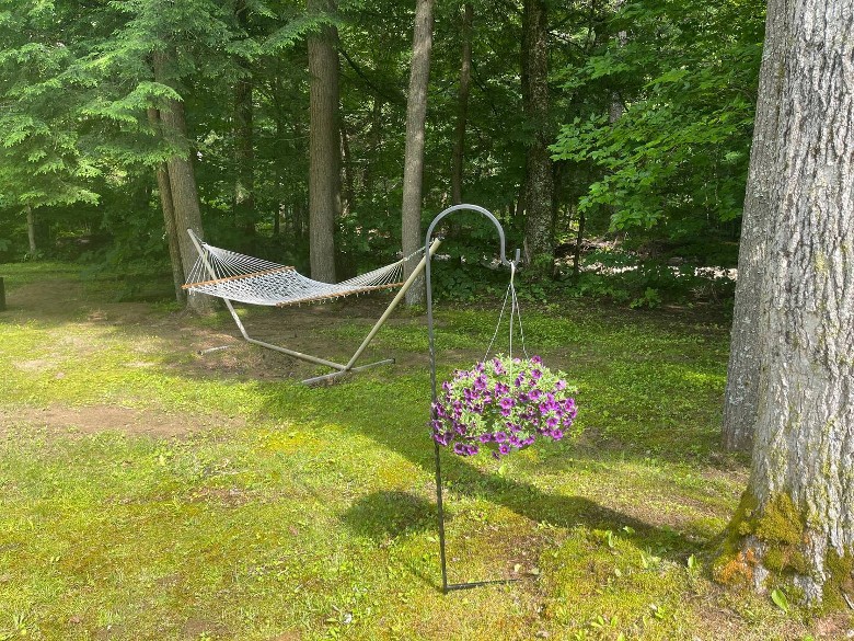 hammock