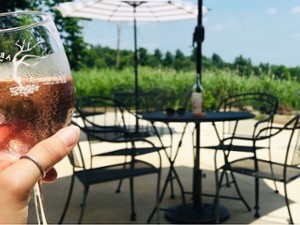 Cheers to the patio and Rosé all Day!